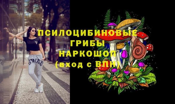 mdma Горнозаводск
