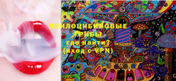 mdma Горнозаводск