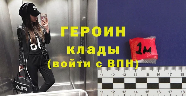 гашик Тайга