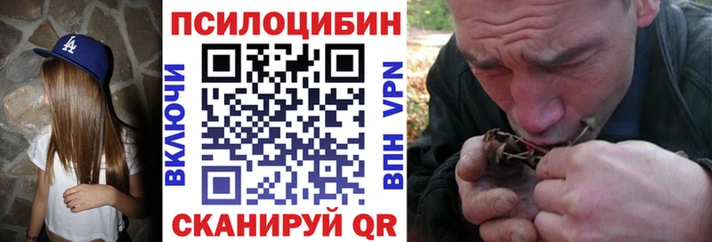 наркота  Подольск  Псилоцибиновые грибы прущие грибы 